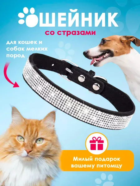 VOLKSHOP Ошейник со стразами для кошек и собак мелких пород