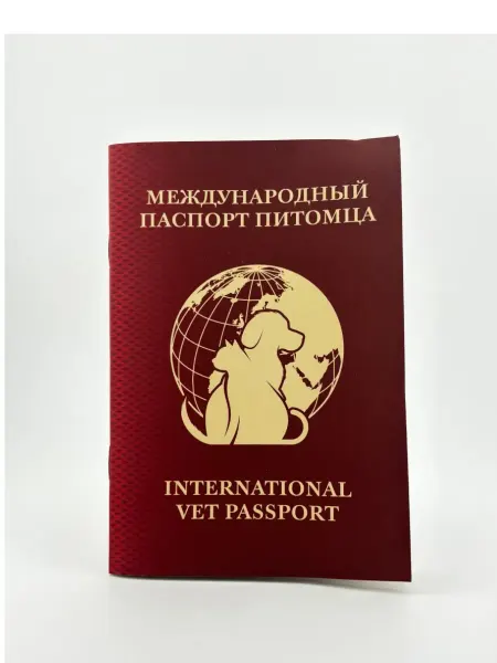 Международный ветеринарнарный паспорт для питомца