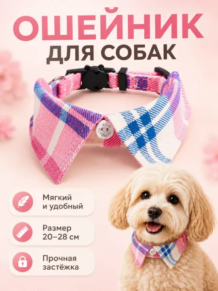 Ошейник для маленьких собак декоративный