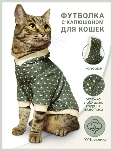 МУРЛЭНД Футболка для кошки сфинкс «Обаяшка», с капюшоном
