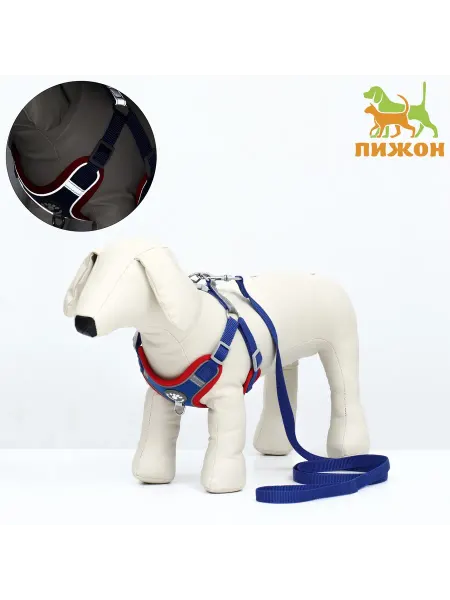 Market_ZOO Комплект Sport+, L, поводок 120 x 1,5 см
