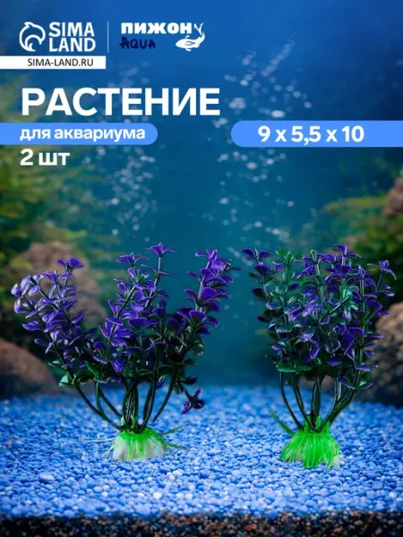 Мир обилия Набор растений для аквариума и террариума - 2 шт. 10 см