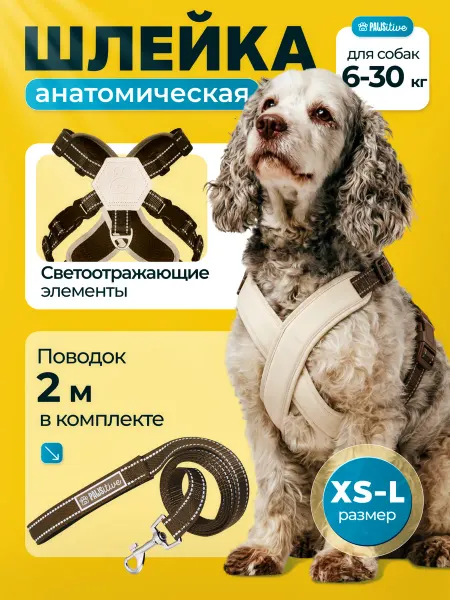 PAWSitive Шлейка анатомическая и поводок 2 м