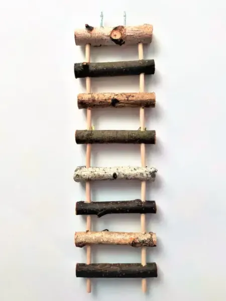 Bird Toys from Sibiria Лесенка для грызунов
