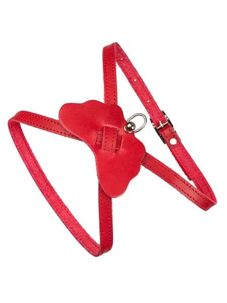 CHOKERZ Шлейка для собак мелких пород кожаная