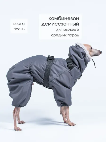 GREYDOG Комбинезон демисезонный для собак CITY RAY