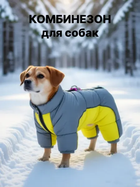 FRIENDS COMPANY Комбинезон для собак мелких пород