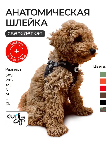 Curli Шлейка для собак мелких пород анатомическая