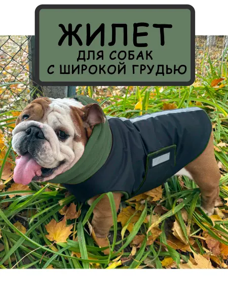 Dogfriendly.store Жилет - Попона для собак английского бульдога