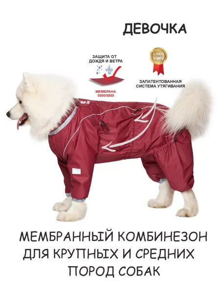 DOGMODA Мембранный комбинезон для собак крупных пород девочка