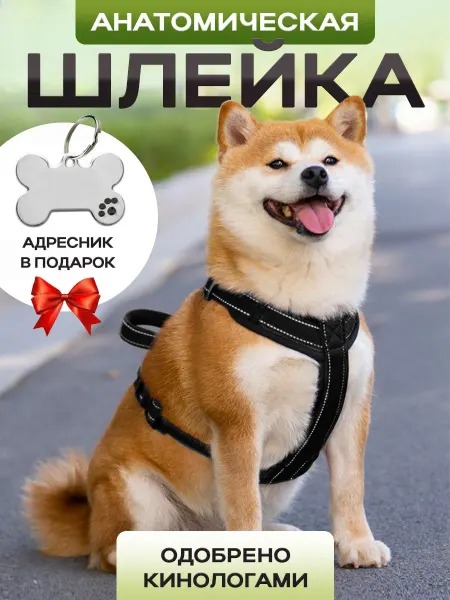 Hello family Шлейка анатомическая для собак средних пород