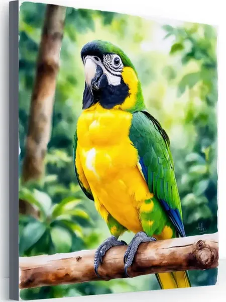 Art-Hobby-Market Картина на стену для интерьера попугай в лесу 40x50
