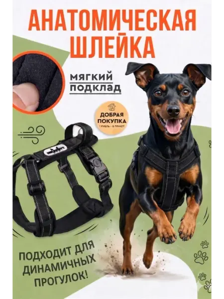 MiloPets Шлейка для собак средних пород анатомическая