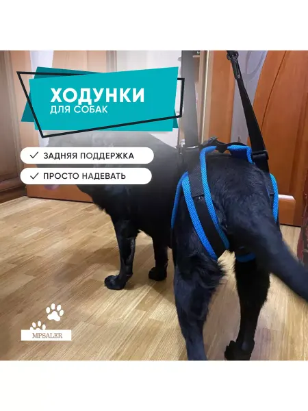MPSALER Ходунки для собак. Задняя поддержка