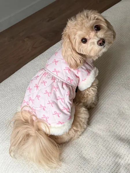 Pawsy Жилет для собак, жилетка для собак