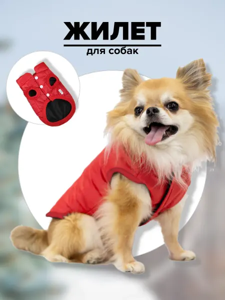 Petleader Жилет попона для собак