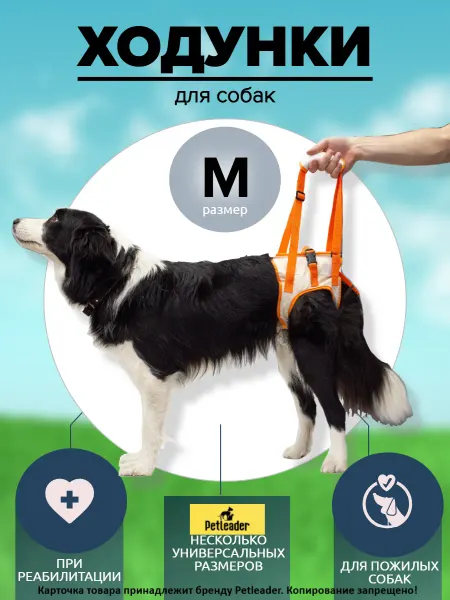 Petleader Ходунки для собак поддержка задних лап