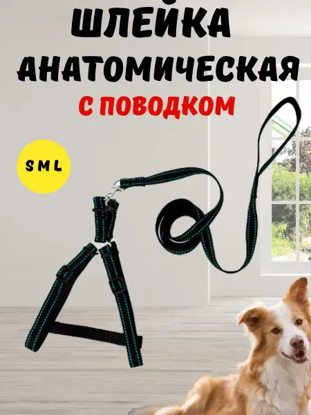 ZooZhu Шлейка для собак мелких средних крупных пород анатомическая