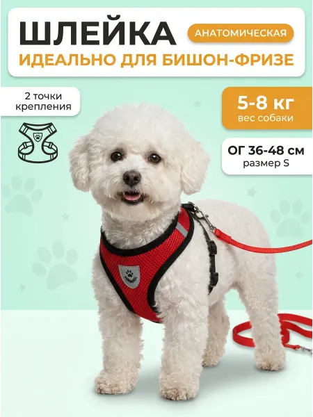 Шлейка с поводком светоотражающая для бишон-фризе