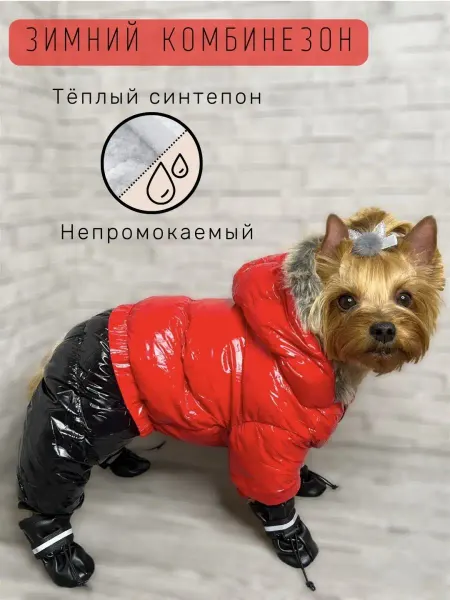 Ермолаева Н.В. Зимний комбинезон для собак утеплённый