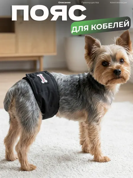 ЗООWOW Пояс для кобелей многоразовый