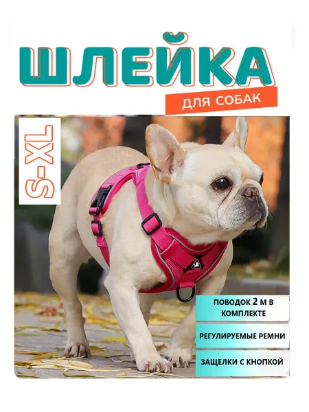 Теплая Компания Шлейка с поводком для собак мелких и средних пород и кошек