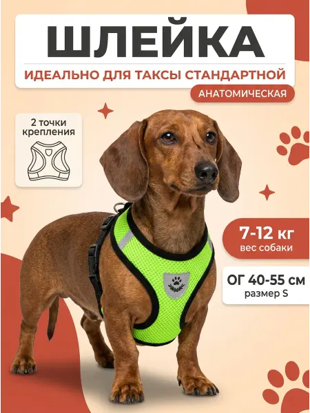 Светоотражающая шлейка с поводком для стандартной таксы