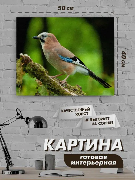 NeoArt Картина на холсте,40x50,птицы,c подрамником