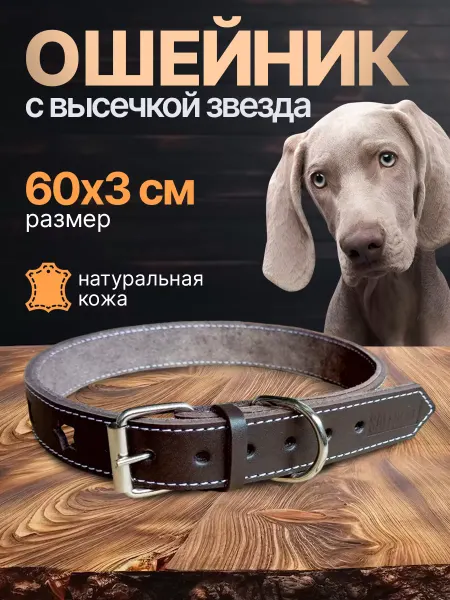 SafeBest Ошейник с высечкой звезда 60х3 см коричневый кожа