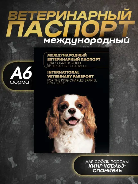 Bamboook Ветеринарный паспорт для собак породы Кинг-чарльз-спаниель
