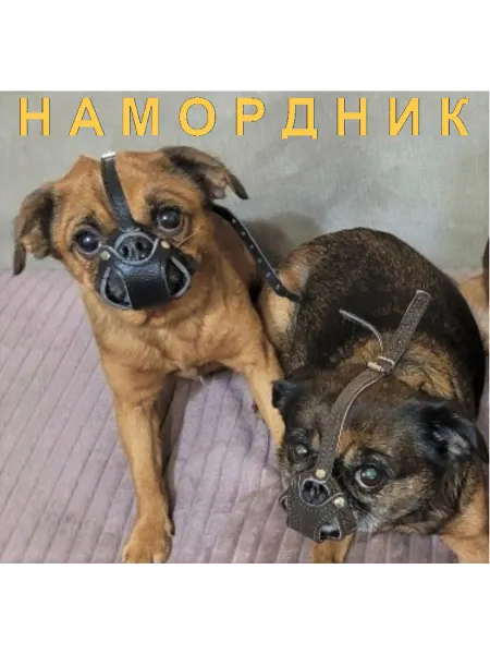 ZooTriumphСиМ Намордник для собак с плоской мордой. Двухслойный