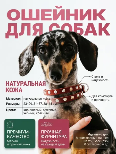 АРКОН Ошейник кожаный для собак мелких и средних пород