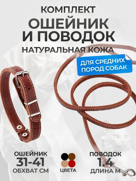 АРКОН Ошейник с поводком из натуральной кожи
