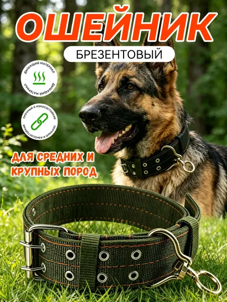 Ошейник брезентовый для собак любых пород