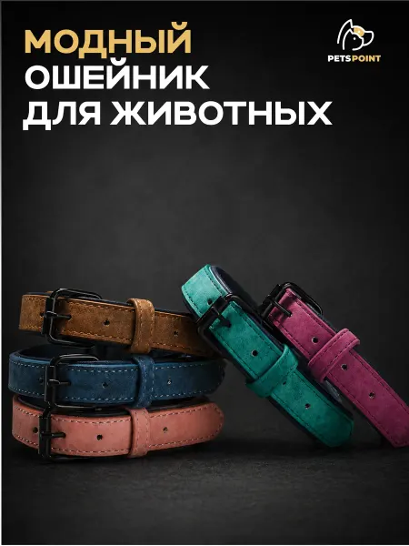 Ошейник для собак всех пород из экокожи Синий XS