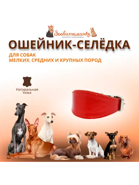 Зоовитаминка Ошейник кожаный для собак селедка. Обхват шеи 30-36 см