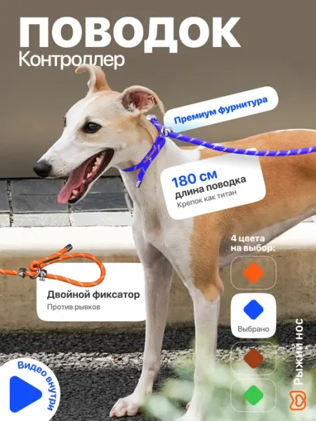 Рыжий нос Поводок контроллер удавка для собак с фиксатором