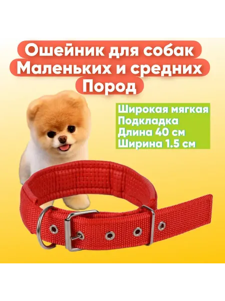 Малыш Кузя Ошейник для собак мелких и средних пород