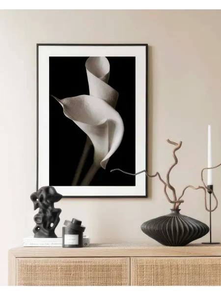 Onllyart Постер 40x60 величественная лилия