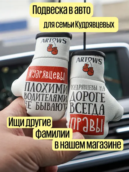 ARTOWS Аксессуар автомобильный для семьи Кудрявцевых