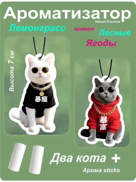 Ароматизатор в машину на зеркало
