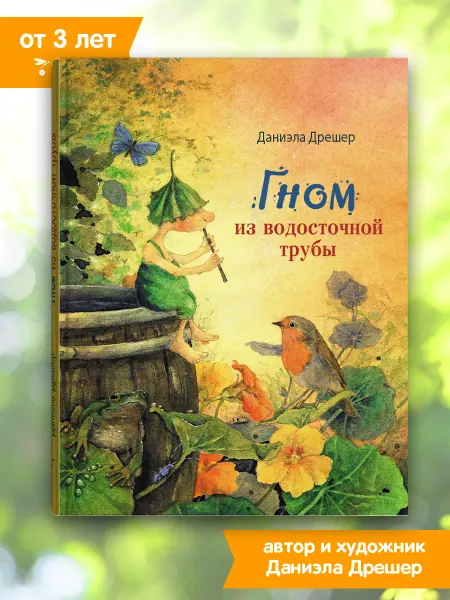 Издательство Стрекоза Гном из водосточной трубы. Книга 1. Даниэла Дрешер