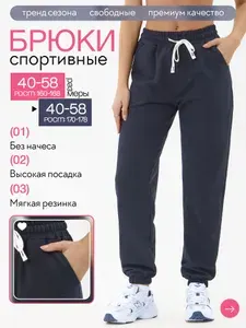 Брюки Брюки спортивные джоггеры без начеса