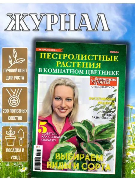Домашние цветы журнал об уходе за яркими комнатными растениями №2 19