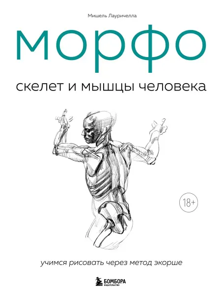 Эксмо МОРФО. Скелет и мышцы человека. Анатомия для художников