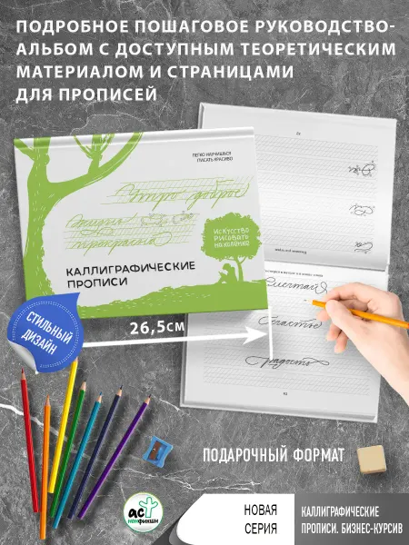 Издательство АСТ Каллиграфические прописи. Бизнес-курсив