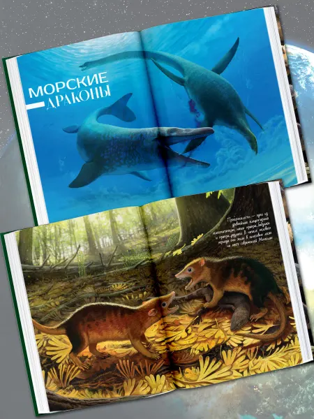 Издательство АСТ Здесь жили динозавры