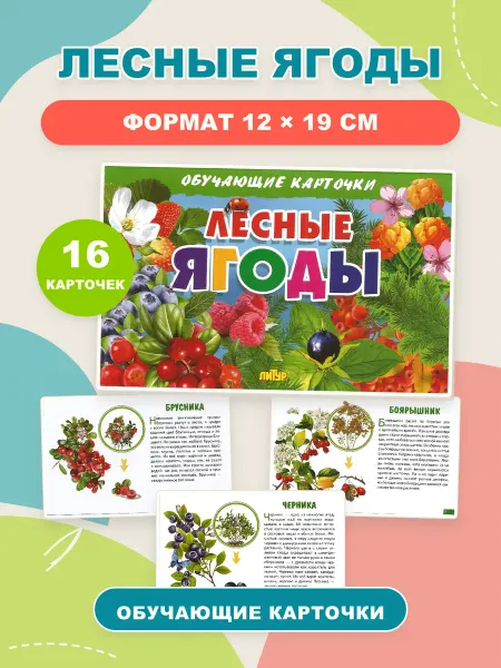 ЛитУр Обучающие карточки Лесные ягоды, 16 штук