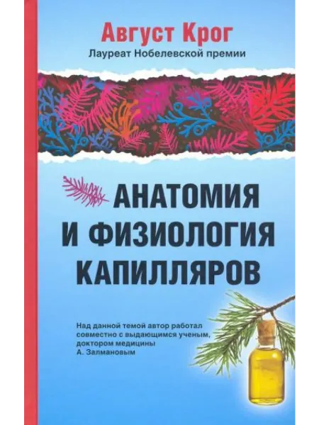 Русский шахматный дом Анатомия и физиология капилляров