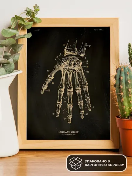 LAWE POSTERS Постер из крафт-бумаги Hand And Wrist 42х29 см